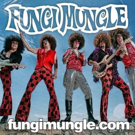 Fungi Mungle