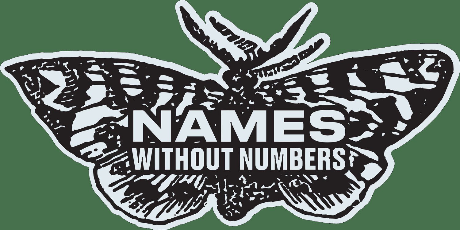 Names Without Numbers