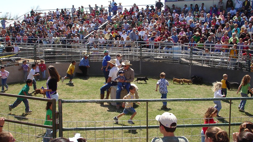 Sabinal Wild Hog Festival & Craft Fair