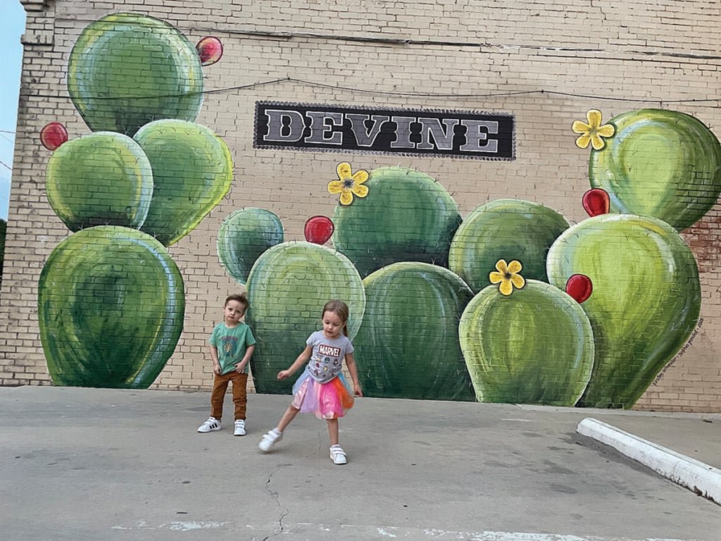 Devine Cactus Festival