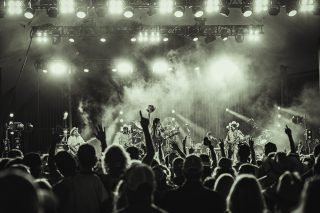 Cotton Fest