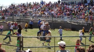 Sabinal Wild Hog Festival & Craft Fair