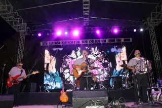 Palomino Fest & Rodeo