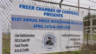 Freer Rattlesnake Roundup