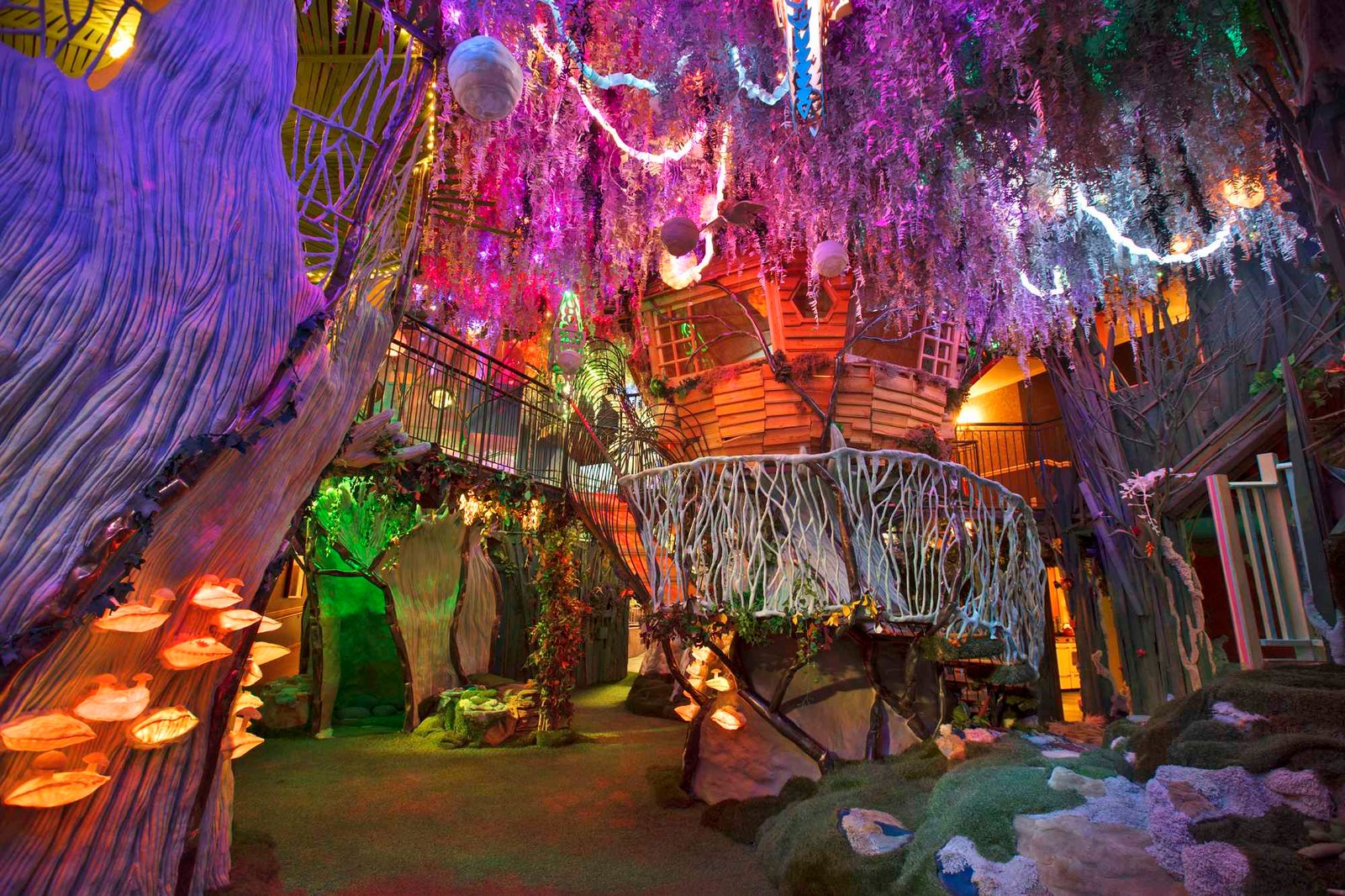Meow Wolf