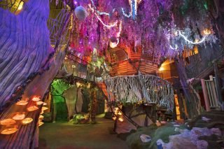 Meow Wolf